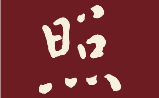 照本堂控股有限公司