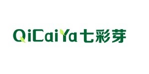 武汉市七采芽服饰有限公司