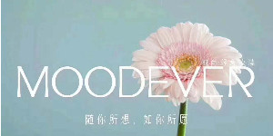 重庆涵尚品牌管理有限公司