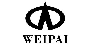 深圳市伟派时装科技有限公司