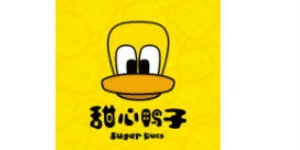 东莞恒星童服有限公司