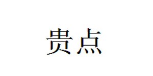 贵点电子商务有限公司