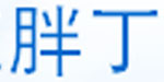 浙江胖丁韩星服饰有限公司