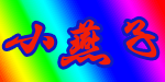 小燕子服饰公司