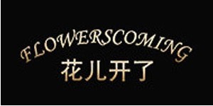 花儿开了（深圳）服饰有限公司
