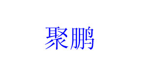 杭州聚鹏服饰有限公司