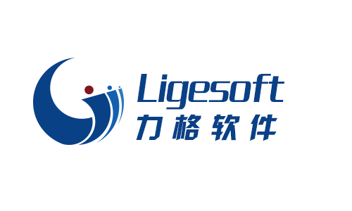 武汉力格软件有限公司