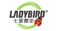 七星瓢虫