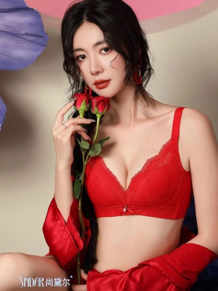尚黛尔(SNDAR)品牌商机,尚黛尔(SNDAR)内衣睡衣招商,尚黛尔(SNDAR)内衣睡衣加盟,尚黛尔(SNDAR)内衣睡衣合作,尚黛尔(SNDAR)品牌加盟