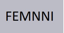 斐米妮(FEMNNI)