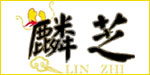 麟芝