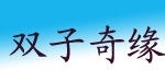 双子奇缘