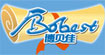 博贝佳
