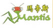 玛帝斯