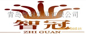 智冠(ZHIGUAN)