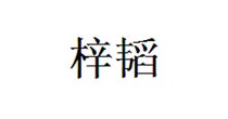梓韬