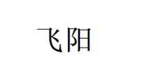 飞阳