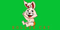HOLLER CAT - HOLLER CAT