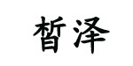 皙泽