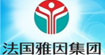雅因