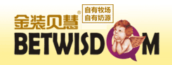金装贝慧